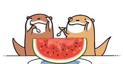 吃瓜大会串词简短